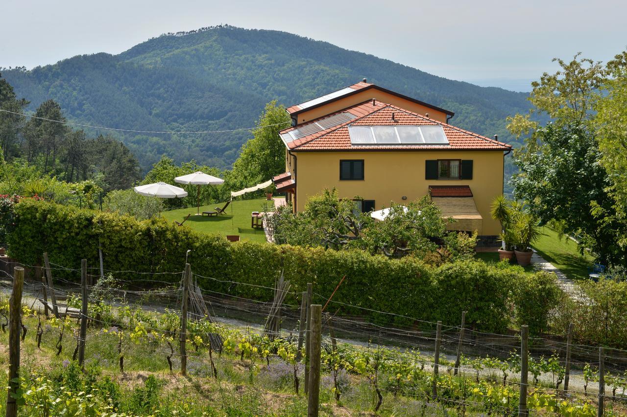 Villa Il Laghello Di Amina Framura Exterior foto